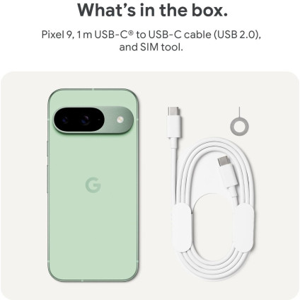 Телефон Google Pixel 9 12GB/256GB (винтергрин)