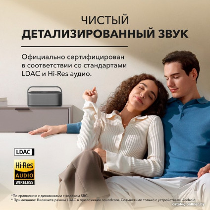 Беспроводная колонка Anker Soundcore Motion X600 (темно-серый)