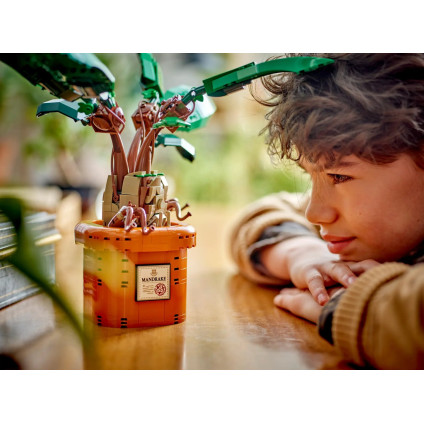 Конструктор LEGO Harry Potter 76433 Мандрагора