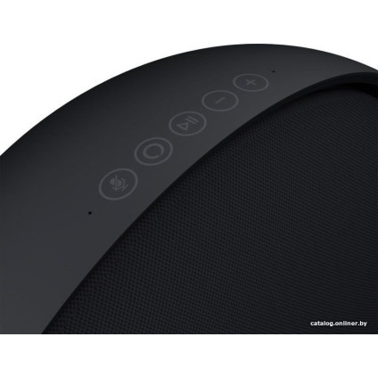 Беспроводная аудиосистема Defunc Home Large (черный)