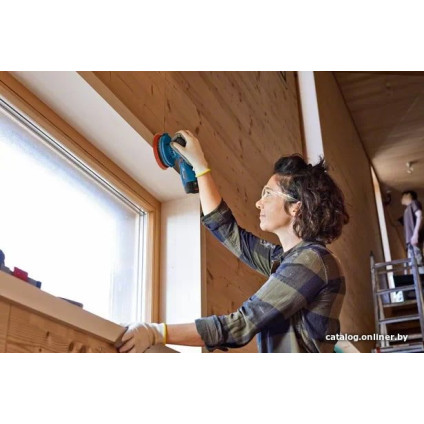 Эксцентриковая шлифмашина Bosch GEX 12V-125 Professional 0601372101 (без АКБ)