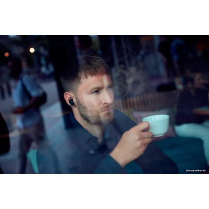 Наушники Philips Fidelio T2/00