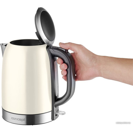 Электрический чайник Concept RK3242