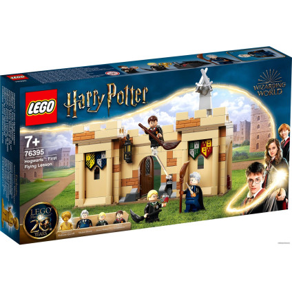 Конструктор LEGO Harry Potter 76395 Хогвартс: первый урок полетов
