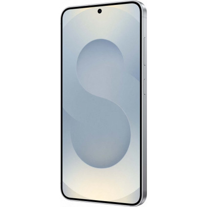 Телефон Samsung Galaxy S25 SM-S9310 12GB/256GB (серый)