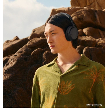 Наушники Sennheiser Accentum Wireless (черный)