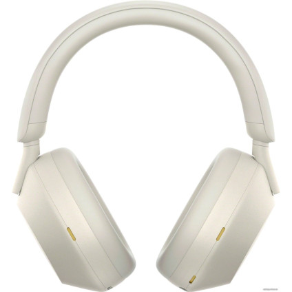 Наушники Sony WH-1000XM5 (серый)