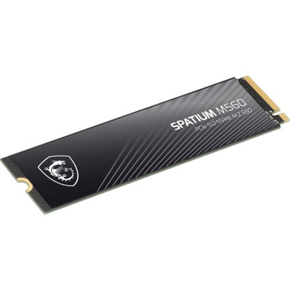 SSD MSI Spatium M560 2TB S78-440Q940-P83