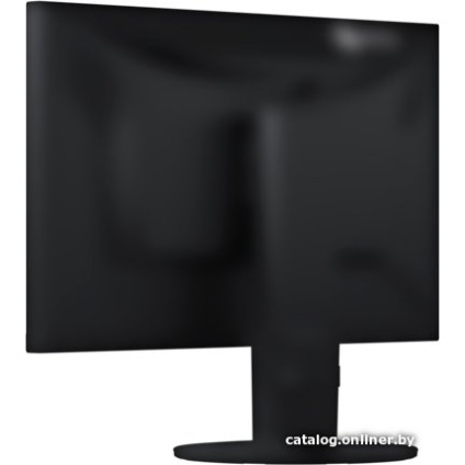Монитор EIZO FlexScan EV2460-BK