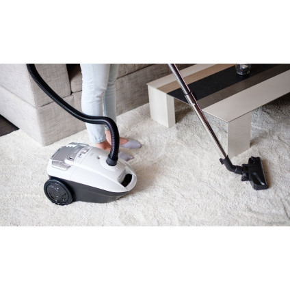 Пылесос Teesa TSA5020