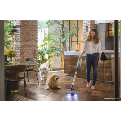 Пылесос Hoover Anti-Twist HF910P 011