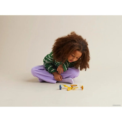 Конструктор LEGO Ninjago 71803 Удар восходящего дракона Арин