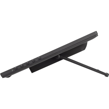 Портативный монитор Iiyama ProLite T2455MSC-B1