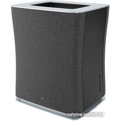 Очиститель воздуха Stadler Form Roger big Original R-018OR (черный)