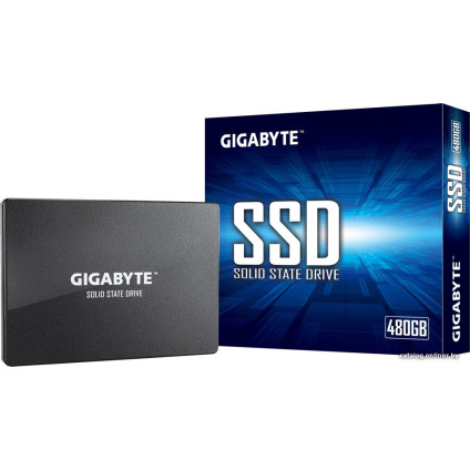 SSD Gigabyte 1TB GP-GSTFS31100TNTD