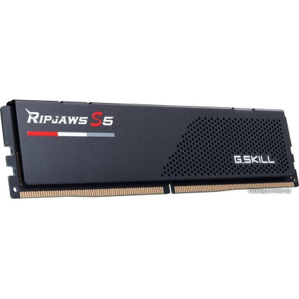 Оперативная память G.Skill Ripjaws S5 2x32ГБ DDR5 6000МГц F5-6000J3636F32GX2-RS5K