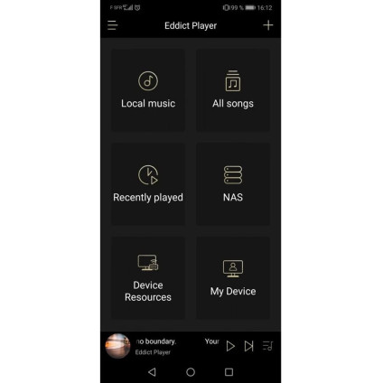 Сетевой проигрыватель Shanling EM5 (серебристый)