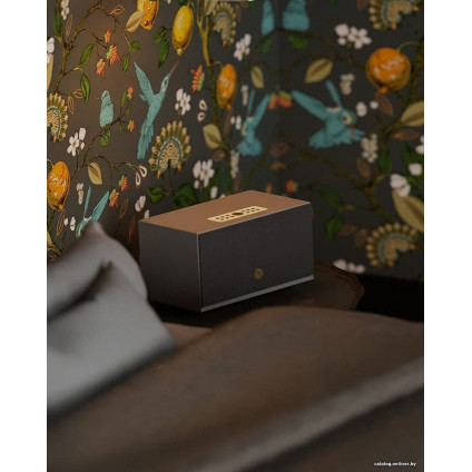 Беспроводная аудиосистема Audio Pro Addon C10 MkII (серый)