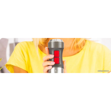 Погружной блендер Zelmer ZHB4650