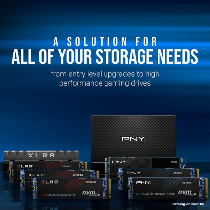 SSD PNY CS1030 1TB M280CS1030-1TB-RB