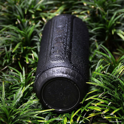 Беспроводная колонка Tonsil Flip 6