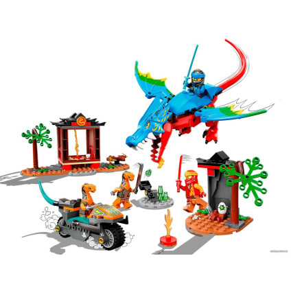 Конструктор LEGO Ninjago 71759 Драконий храм ниндзя