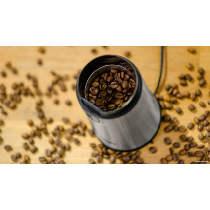 Электрическая кофемолка Zelmer ZCG7425