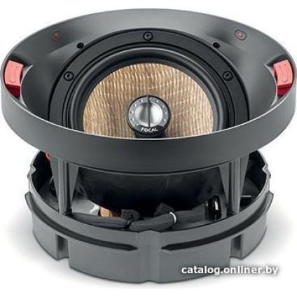 Focal 300 ICA6