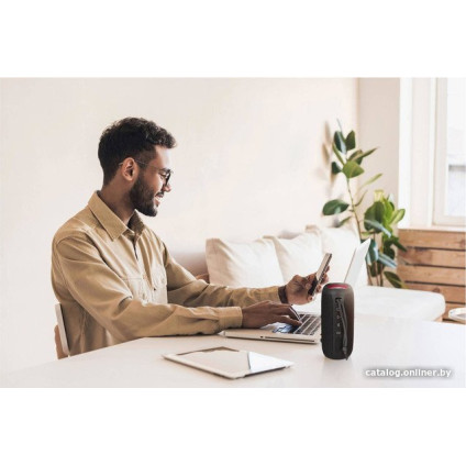 Беспроводная колонка Buxton BBS 5500 (черный)