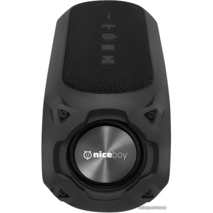 Беспроводная колонка Niceboy Raze 3 Radion