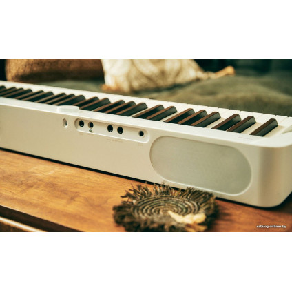 Цифровое пианино Casio PX-S1100 (белый)