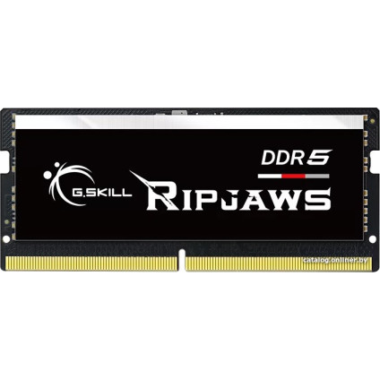 Оперативная память G.Skill Ripjaws 16ГБ DDR5 SODIMM 4800МГц F5-4800S4039A16GX1-RS