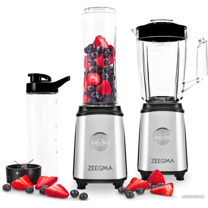 Стационарный блендер Zeegma Vitamine MIX&GO