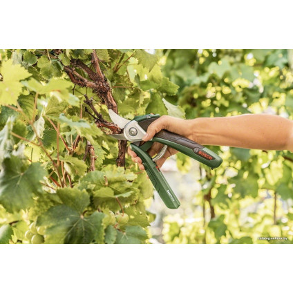 Секатор Bosch EasyPrune
