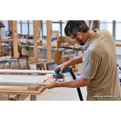 Эксцентриковая шлифмашина Bosch GEX 12V-125 Professional 0601372101 (без АКБ)