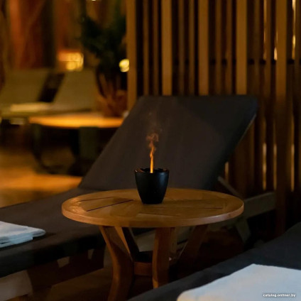 Увлажнитель воздуха Stadler Form Zoe (черный)