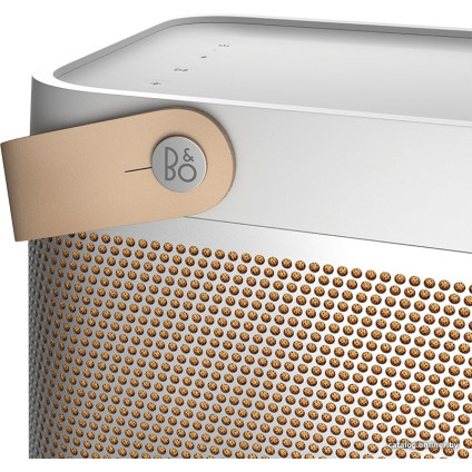 Беспроводная колонка Bang & Olufsen Beolit 20 (серый)