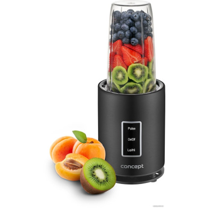 Стационарный блендер Concept SM1500