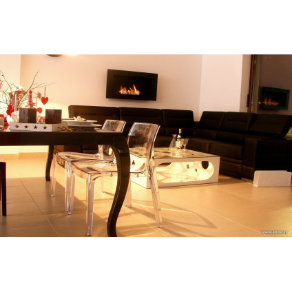 Биокамин Infire Inside 900