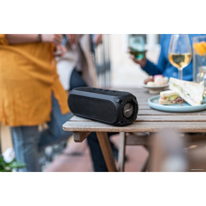 Беспроводная колонка Niceboy Raze 3 Radion