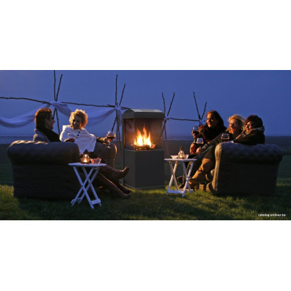 Биокамин Faber theBUZZ