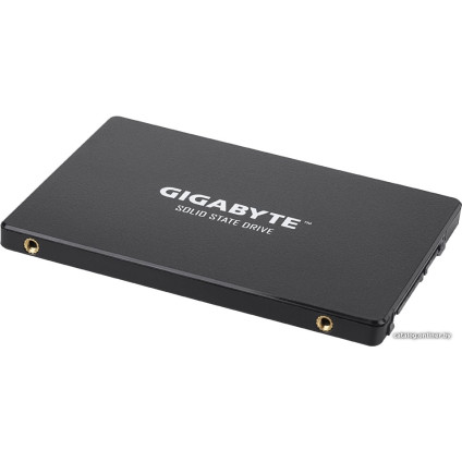 SSD Gigabyte 1TB GP-GSTFS31100TNTD