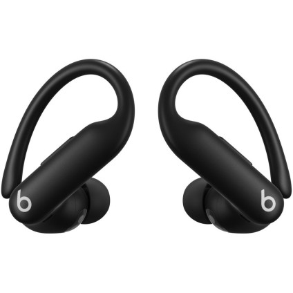 Наушники Beats Powerbeats Pro 2 (черный)