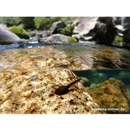 Фотоаппарат Olympus Tough TG-7 (черный)