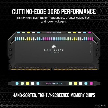 Оперативная память Corsair Dominator Platinum RGB 2x32ГБ DDR5 6600 МГц CMT64GX5M2B6600C32