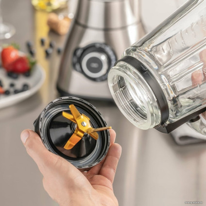 Стационарный блендер CASO B1800