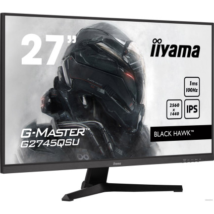 Игровой монитор Iiyama G-Master Black Hawk G2745QSU-B1