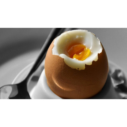 Яйцеварка CASO E3