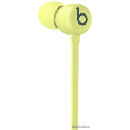 Наушники Beats Flex (желтый цитрус)