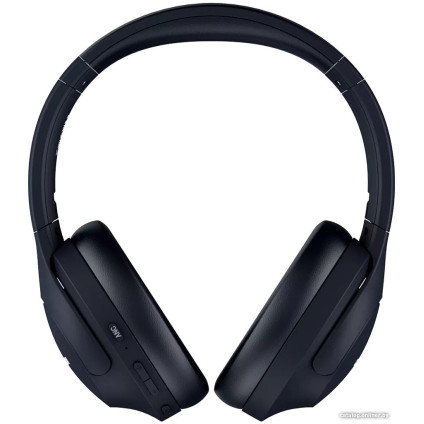 Наушники Canyon OnRiff 10 (черный)